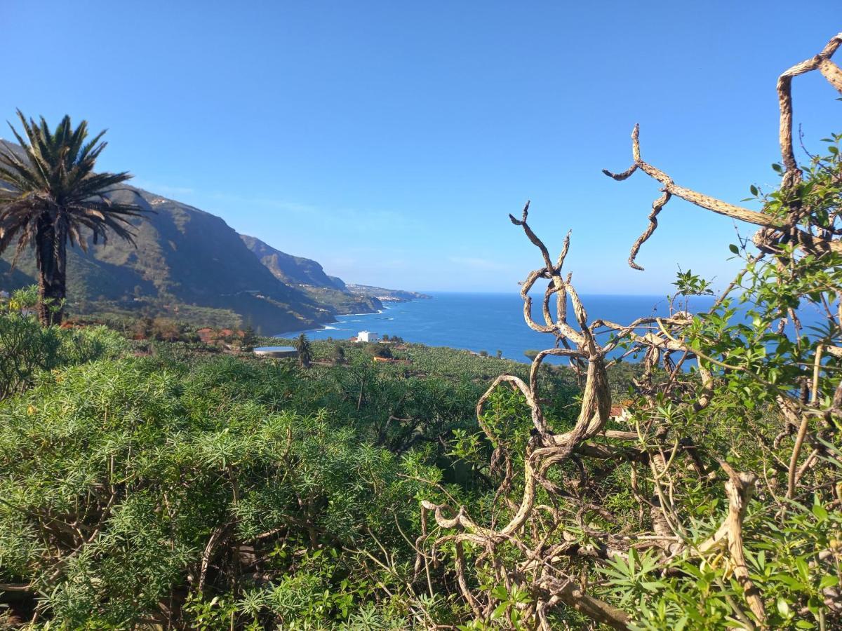 Golf View Apartment - Stunning Ocean View Golf Del Sur サンミゲル・デ・アボナ エクステリア 写真